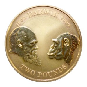 2 sterline d'Oro 2009 Darwin