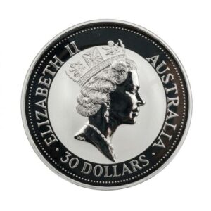 Kookaburra Argento 1992 FDC | 1 kg - immagine 3